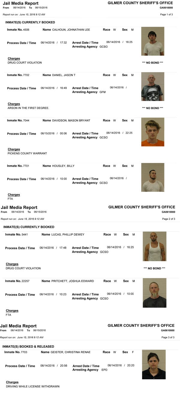 GMS-Arrests-6-14-15-1