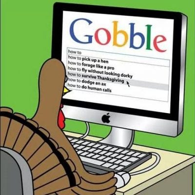 turkey