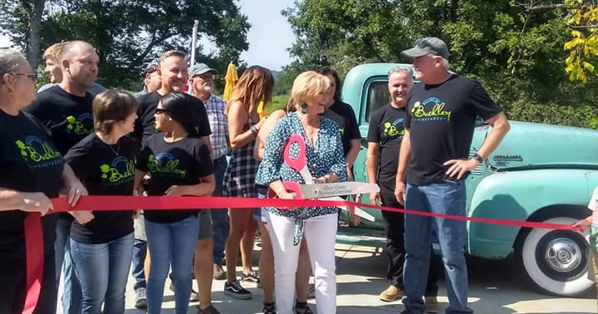 Local Winery Celebrates Grand Opening and Ribbon Cutting Ceremony - Gilmer - Vimarsana News